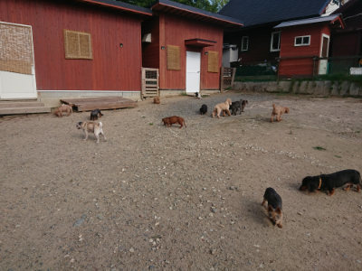f:id:roukenhome-ann:20190818204754j:plain