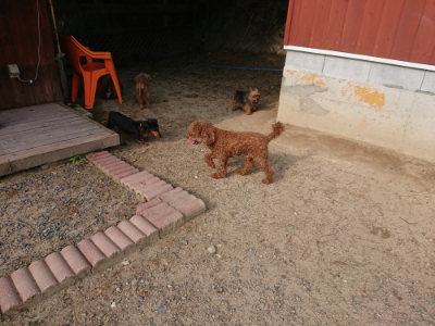 f:id:roukenhome-ann:20190818204811j:plain
