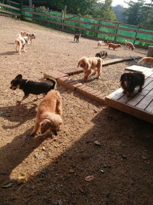 f:id:roukenhome-ann:20190818204858j:plain