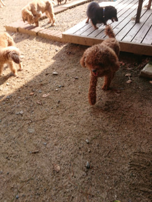 f:id:roukenhome-ann:20190818204903j:plain