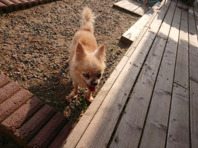 f:id:roukenhome-ann:20190818210305j:plain