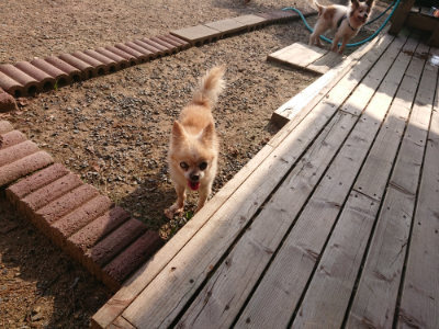 f:id:roukenhome-ann:20190818210325j:plain