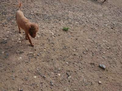 f:id:roukenhome-ann:20190818210333j:plain