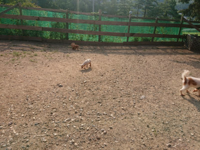 f:id:roukenhome-ann:20190818210407j:plain