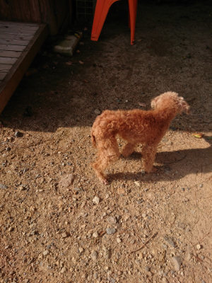 f:id:roukenhome-ann:20190818210427j:plain