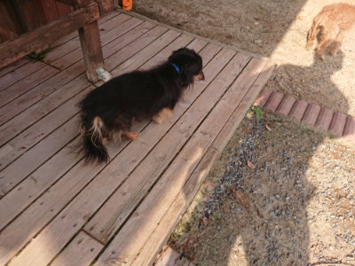 f:id:roukenhome-ann:20190818210457j:plain