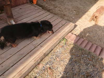 f:id:roukenhome-ann:20190818210503j:plain
