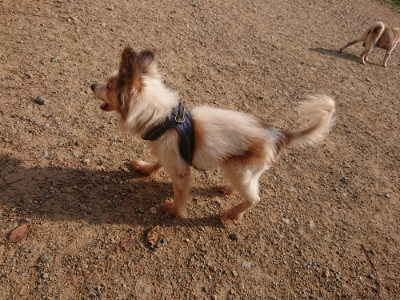 f:id:roukenhome-ann:20190818210531j:plain