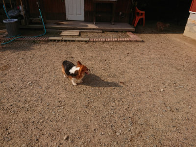 f:id:roukenhome-ann:20190818210538j:plain