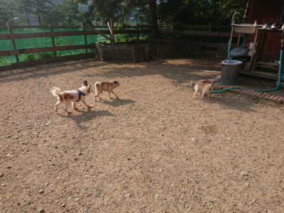f:id:roukenhome-ann:20190818210544j:plain