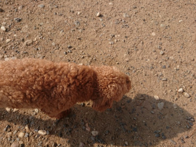 f:id:roukenhome-ann:20190818210608j:plain