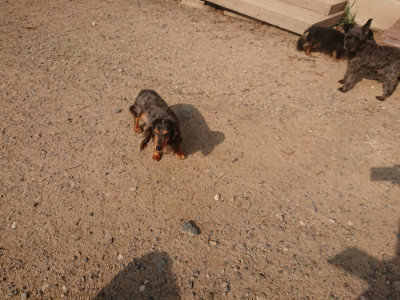 f:id:roukenhome-ann:20190818210616j:plain