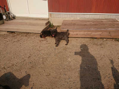 f:id:roukenhome-ann:20190818210650j:plain