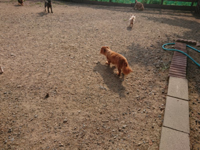 f:id:roukenhome-ann:20190818210659j:plain