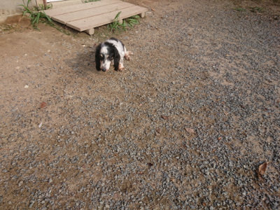 f:id:roukenhome-ann:20190818210735j:plain