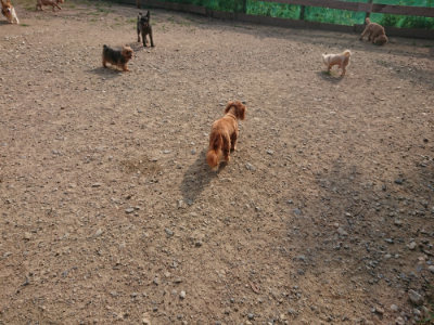 f:id:roukenhome-ann:20190818210741j:plain