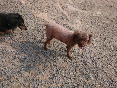f:id:roukenhome-ann:20190818210801j:plain