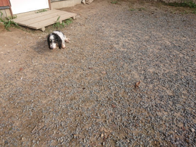 f:id:roukenhome-ann:20190818210807j:plain