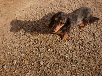 f:id:roukenhome-ann:20190818210857j:plain