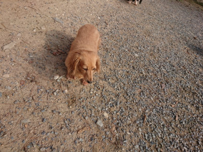 f:id:roukenhome-ann:20190818210913j:plain