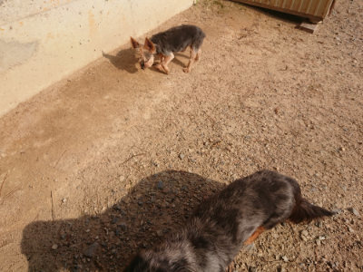 f:id:roukenhome-ann:20190818210931j:plain