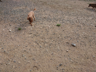 f:id:roukenhome-ann:20190818210944j:plain