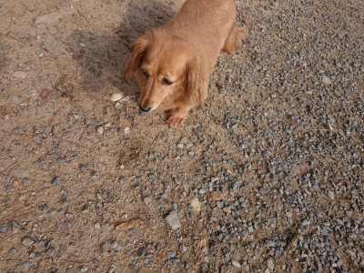 f:id:roukenhome-ann:20190818210952j:plain