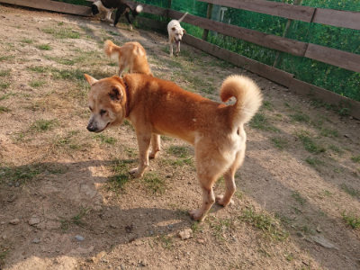 f:id:roukenhome-ann:20190818212626j:plain