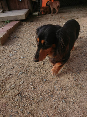 f:id:roukenhome-ann:20190818212720j:plain