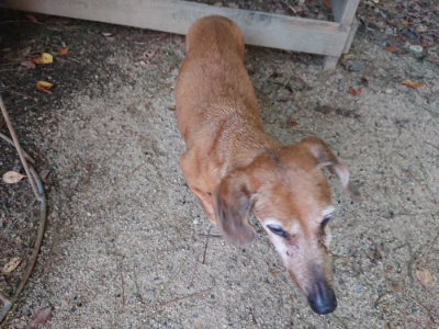 f:id:roukenhome-ann:20190818212726j:plain