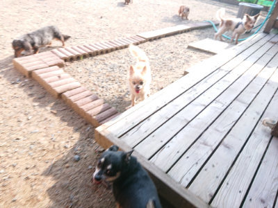 f:id:roukenhome-ann:20190818212737j:plain