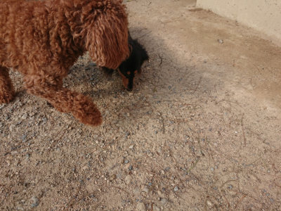 f:id:roukenhome-ann:20190818212752j:plain