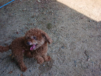 f:id:roukenhome-ann:20190818212838j:plain