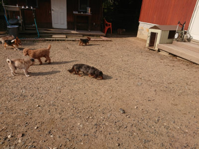 f:id:roukenhome-ann:20190818212851j:plain
