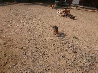 f:id:roukenhome-ann:20190818212939j:plain