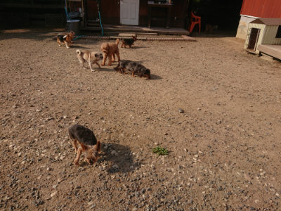 f:id:roukenhome-ann:20190818212945j:plain
