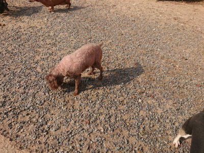 f:id:roukenhome-ann:20190818213010j:plain