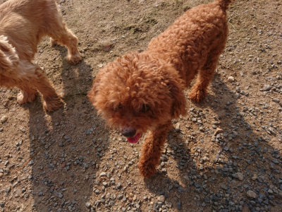 f:id:roukenhome-ann:20190818213020j:plain
