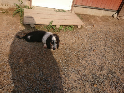 f:id:roukenhome-ann:20190818213029j:plain