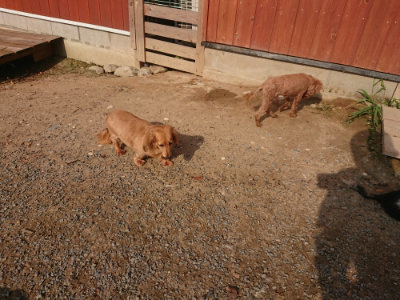 f:id:roukenhome-ann:20190818213057j:plain