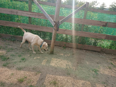 f:id:roukenhome-ann:20190818213131j:plain