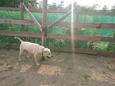 f:id:roukenhome-ann:20190818213136j:plain