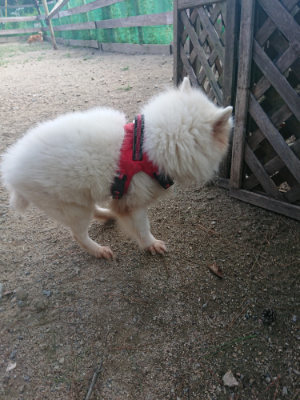 f:id:roukenhome-ann:20190818213146j:plain