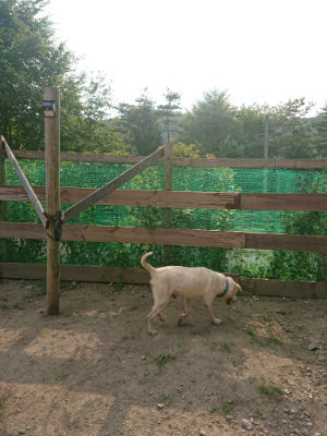 f:id:roukenhome-ann:20190818213152j:plain