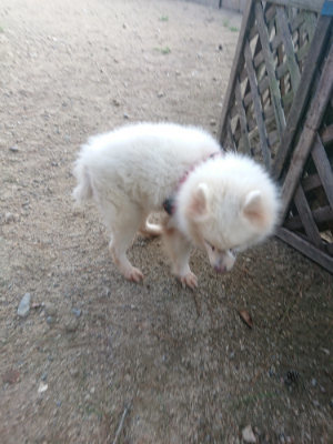 f:id:roukenhome-ann:20190818213205j:plain