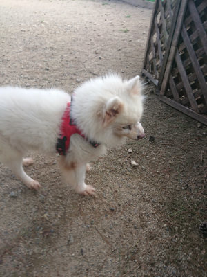 f:id:roukenhome-ann:20190818213224j:plain