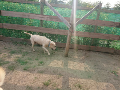 f:id:roukenhome-ann:20190818213248j:plain