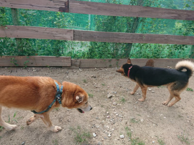 f:id:roukenhome-ann:20190818213417j:plain