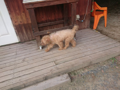 f:id:roukenhome-ann:20190818213507j:plain