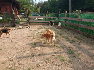 f:id:roukenhome-ann:20190818213529j:plain